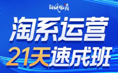 白凤电商·淘系运营21天速成班(更新3月)-淘米帮