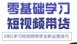 小希老师·快手运营+高阶剪辑实战课-淘米帮