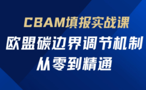 欧盟CBAM填报实战从零到精通-淘米帮