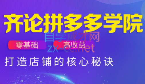 齐论拼多多vip课程-淘米帮