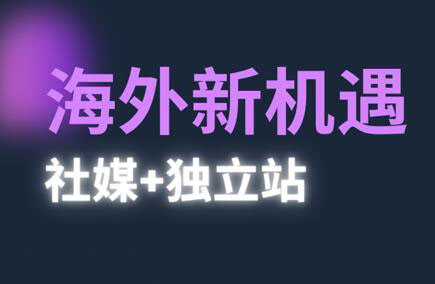 棕榈·2025出海新机遇(社媒+独立站)-淘米帮