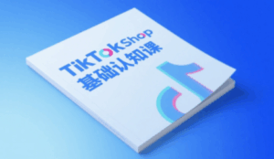 梨子姐姐·TikTok小店基础认知课-淘米帮