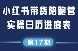 盗坤·抖音小红书视频号短视频带货与直播变现(11-17期)-淘米帮