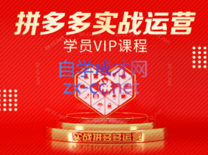 推易电商·拼多多实战运营课(更新2025月)-淘米帮