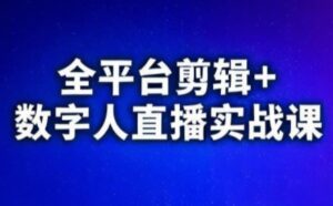 视频号、快手、抖音全平台剪辑+数字人直播实战课(更新6月)-淘米帮