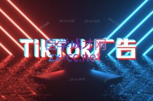 万三老师·Tiktok短视频广告投放(更新)-淘米帮