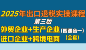 崔sir·出口退税实操-外贸企业+生产企业+跨境电商+进口企业(四课合一)-淘米帮