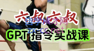 六叔的AI指令实战课(更新7月)-淘米帮