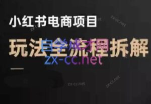 菲菲老师·小红书电商玩法(更新7月)-淘米帮