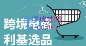 阿甘·2025年跨境电商选品案例(更新7月)-淘米帮