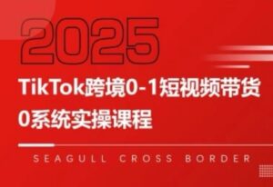 大亿老师·TikTok跨境0-1短视频带货-淘米帮