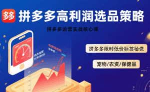 久号老师·拼多多选品暴利技术实战课-淘米帮