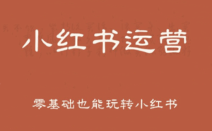 一北老师·小红书运营设计博主独立变现-淘米帮