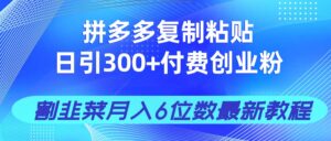 拼多多复制粘贴日引300+付费创业粉,割韭菜月入6位数最新教程!-淘米帮