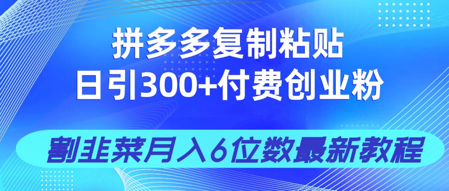 拼多多复制粘贴日引300+付费创业粉，割韭菜月入6位数最新教程！-淘米帮