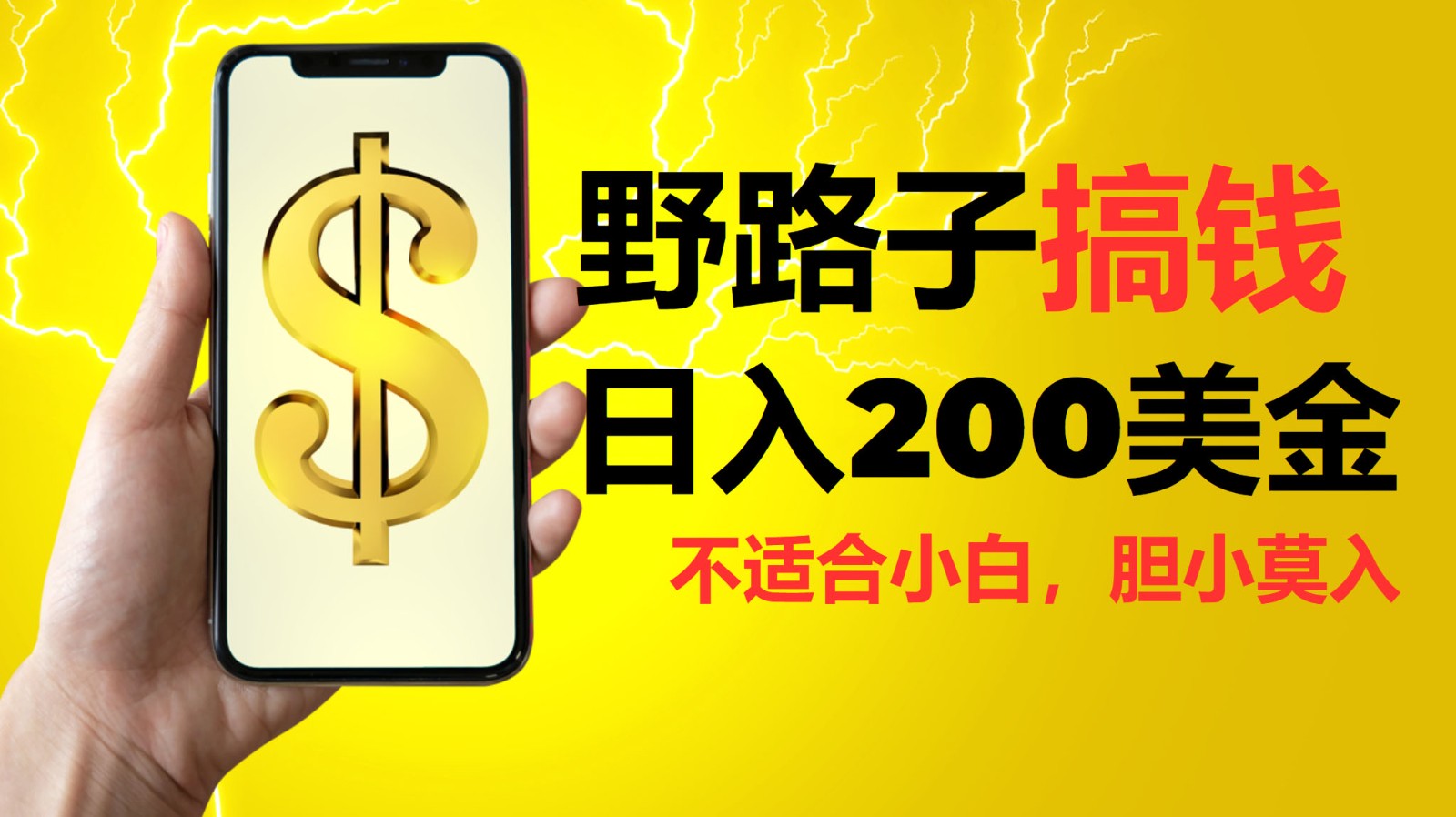 挂机野路子搞钱，日入200美金，路子很野，小白莫入-淘米帮