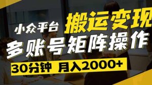 得物平台变现新蓝海！无脑复制热门视频，多账号同步运营，每天半小时躺…-淘米帮