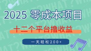 2025年零成本项目，十二个平台撸收益，单号一天轻松200+-淘米帮