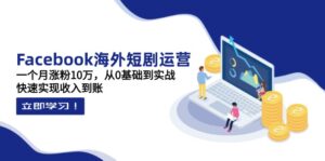 Facebook海外短剧运营：一个月涨粉10万，从0基础到实战，快速实现收入到账-淘米帮