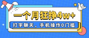 一个月狂挣4w+，打字聊天，手机操作0门槛，新手小白都能做！-淘米帮
