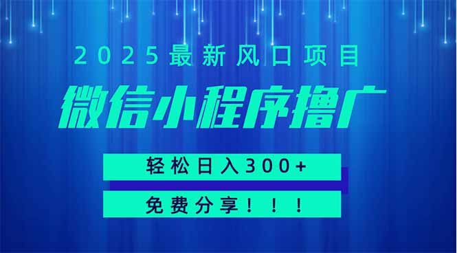微信小程序撸广，最新风口项目，日入300+ 免费分享 可批量操作 小白可…-淘米帮