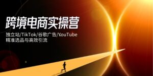 跨境电商实操营：独立站/TikTok/谷歌广告/YouTube，精准选品与高效引流-淘米帮
