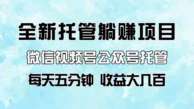 全新托管躺赚项目，微信视频号公众号托管代运营，每天五分钟，收益大几百-淘米帮