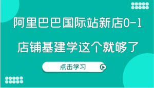 阿里巴巴国际站新店0-1，个人实践实操录制从0-1基建，店铺基建学这个就够了-淘米帮
