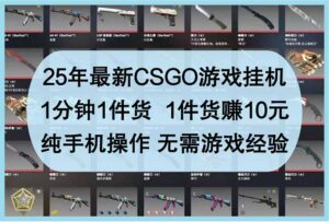 25年最新CSGO游戏挂机，1分钟1件货，1件货赚10元 纯手机操作 无需游戏经验-淘米帮