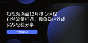 短视频操盘12月核心课程:自然流量打通,现象级IP养成,实战经验分享-淘米帮