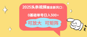 2025头条视频掘金新风口：0基础日入300+，可放大，可矩阵-淘米帮