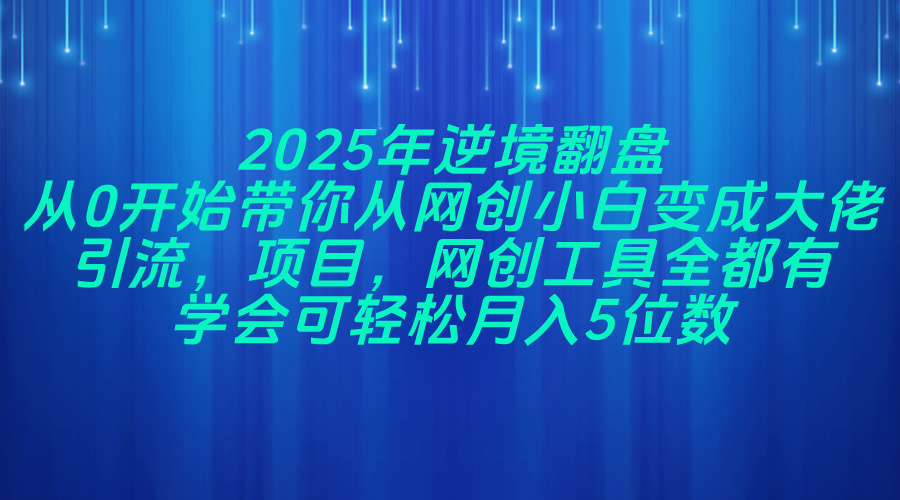 2025年逆境翻盘，从0开始带你从网创小白变成大佬，引流，项目，网创工…-淘米帮