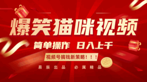 爆笑猫咪视频:简单操作,日入过千,视频号搞钱新策略!-淘米帮