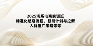 2025淘系电商实训班：标准化起店流程，智能计划与拉新，人群推广策略等等-淘米帮