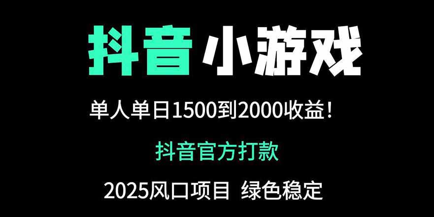 抖音官方小游戏2025全网最新玩法，暴利赚钱项目，单机日入2000+-淘米帮