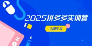 2025拼多多实训营:深度剖析运营关键,助力电商人快速提升-淘米帮