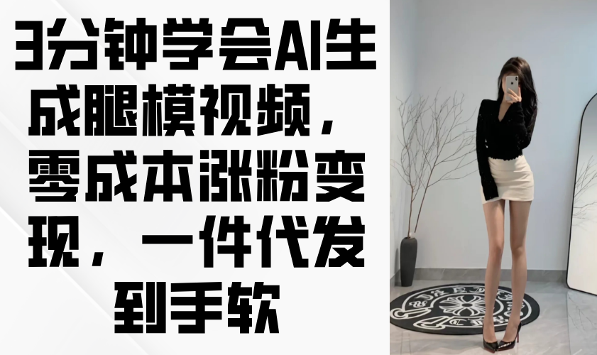 3分钟学会AI生成腿模视频，零成本涨粉变现，一件代发到手软-淘米帮