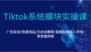 Tiktok系统模块实操课：广告投流/快速测品/冷启动爆单/直播配置和人货场/带货案例等-淘米帮