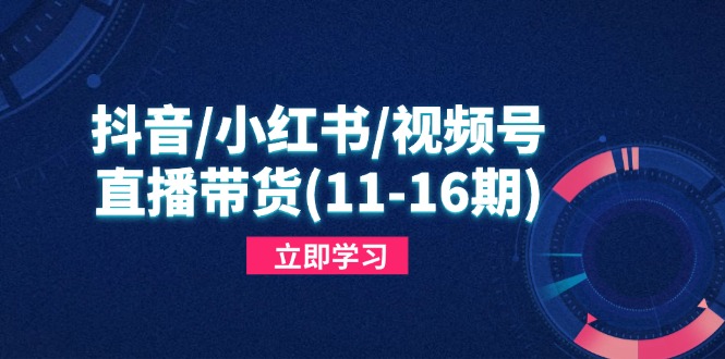 抖音/小红书/视频号/直播带货(11-16期-淘米帮