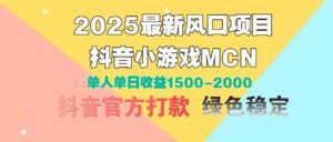 2025最新风口项目 抖音小游戏MCN 单人单日收益1500-2000+-淘米帮