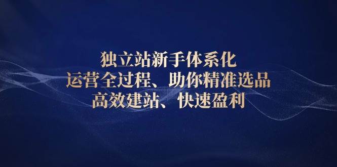 独立站新手体系化 运营全过程，助你精准选品、高效建站、快速盈利-淘米帮