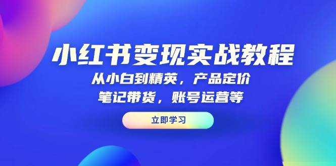 小红书变现实战教程：从小白到精英，产品定价，笔记带货，账号运营等-淘米帮