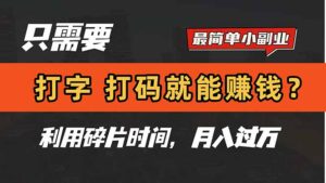 只需要打字，打码，就能赚钱？简单的赚钱小副业，利用碎片时间，月入过万-淘米帮