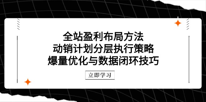 全站盈利布局方法：动销计划分层执行策略，爆量优化与数据闭环技巧-淘米帮