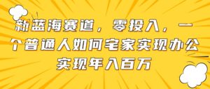新蓝海赛道，零投入，一个普通人如何宅家办公实现年入百万-淘米帮