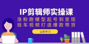 IP剪辑师实操课:涨粉跑模型起号到变现,挂车视频打造爆款带货-淘米帮