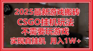 2025最新游戏搬砖,CSGO挂机,不需要玩游戏,实现真挂机,月入1W+-淘米帮