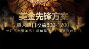 免费技术!小众赛道!一年布局抵三年努力,每日800+-淘米帮