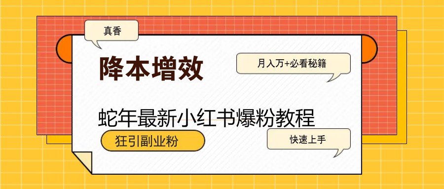 蛇年最新小红书爆粉教程，狂引副业粉，月入万+必看-淘米帮