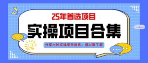 (14767期)2025年实操六大项目实操演练,挂机类型,AI直播类型,轻资产创业类型,…-淘米帮
